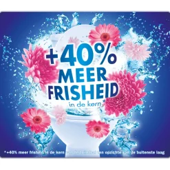 Discount Toiletblok Kracht Actief Bloesem 2 stuks Toiletartikelen