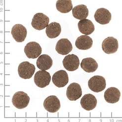 VetLine Hypoallergenic 12 kg^Wolfsblut Outlet