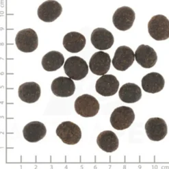 Hondenvoer<Wolfsblut VetLine Joint Care 12 kg