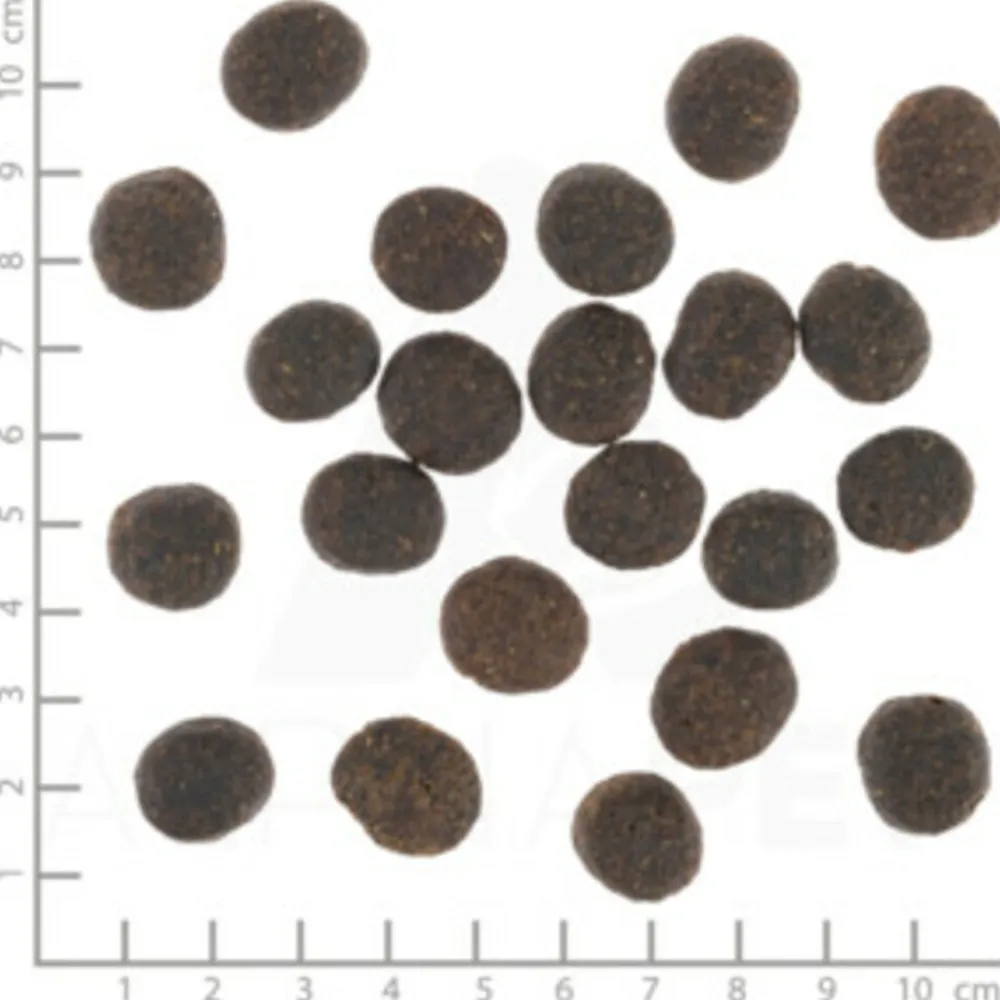 Hondenvoer<Wolfsblut VetLine Joint Care 12 kg