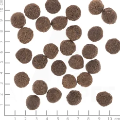 Hondenvoer<Wolfsblut VetLine Renal 2 kg