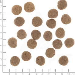 Hondenvoer<Wolfsblut VetLine Weight Management 12 kg