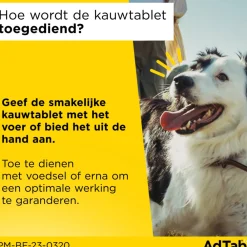 Vlo, Teek & Worm<AdTab 2x Anti Vlo en Teek Kauwtabletten Hond 1,3-2,5 kg 3 tabletten