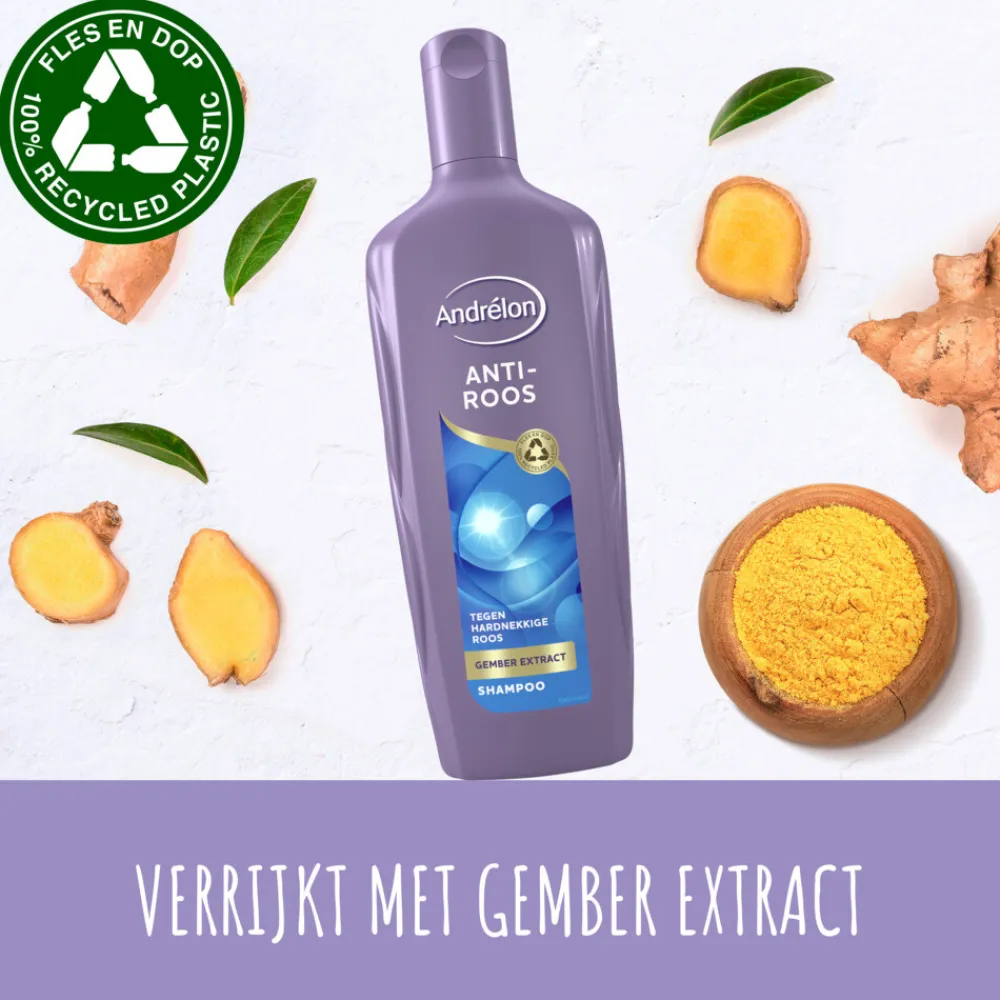 Shampoo<Andrélon 6x Shampoo Anti Roos 300 ml