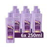 Sale 6x Shampoo Intense Repair 250 ml Shampoo