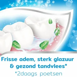 Clearance 6x Tandpasta Freshmint Frisse Adem 75 ml Spoelen & Poetsen