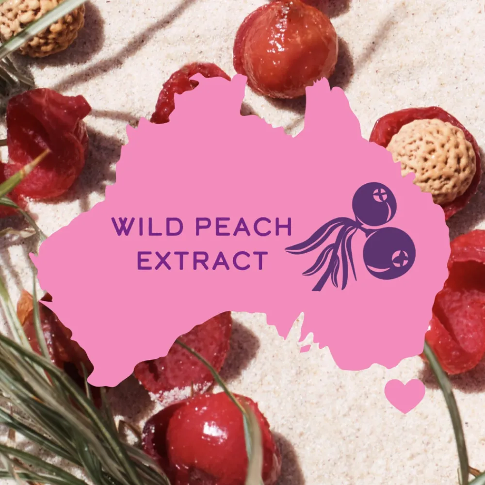 Outlet 6x Shampoo Miracle Repair 300 ml Shampoo