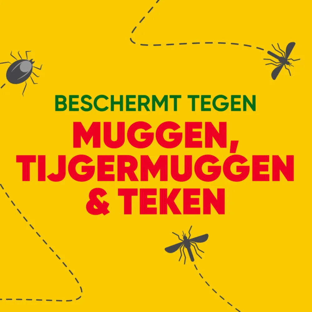 Insecten & Ongedierte<Autan 6x Insectenspray Multi Dry Spray 100 ml