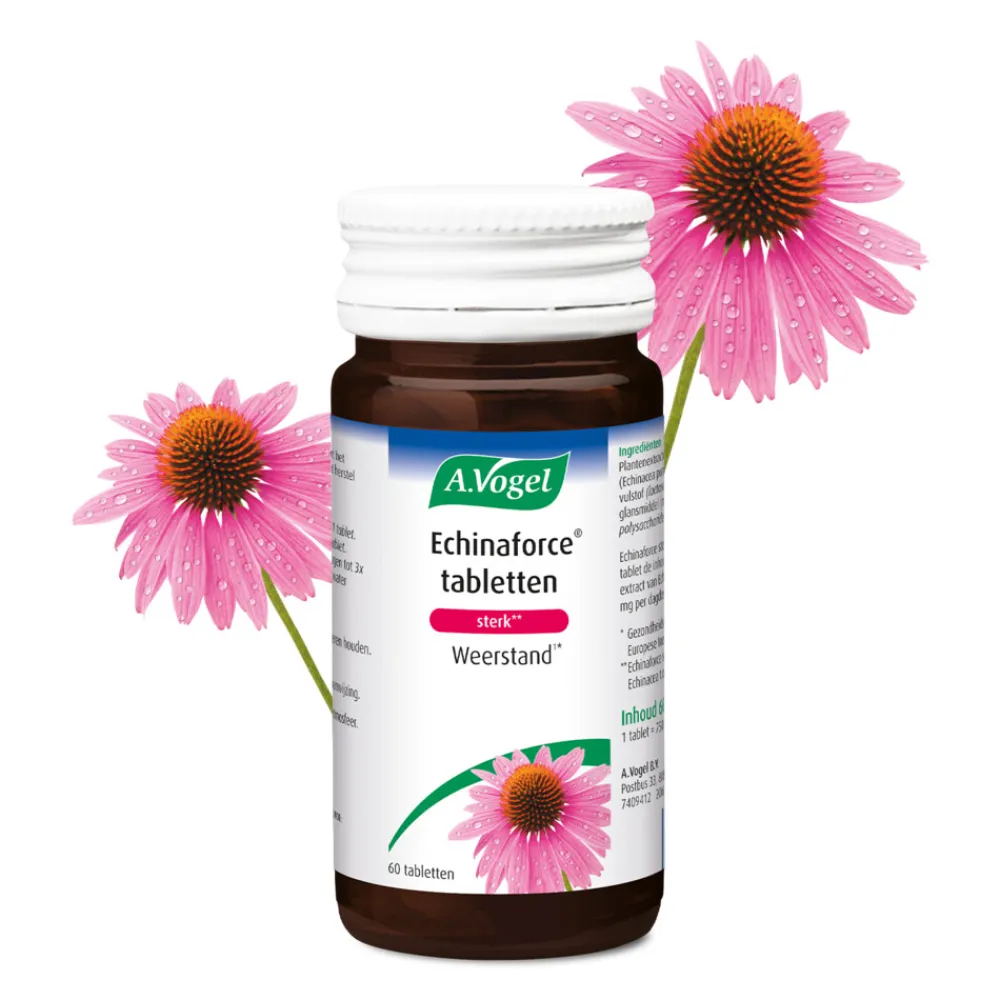 Weerstand & Energie<A.Vogel 2x Echinaforce Sterk 60 tabletten