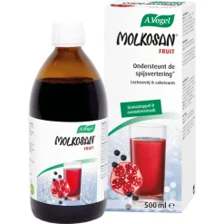 2x Molkosan Fruit 500 ml^A.Vogel Hot