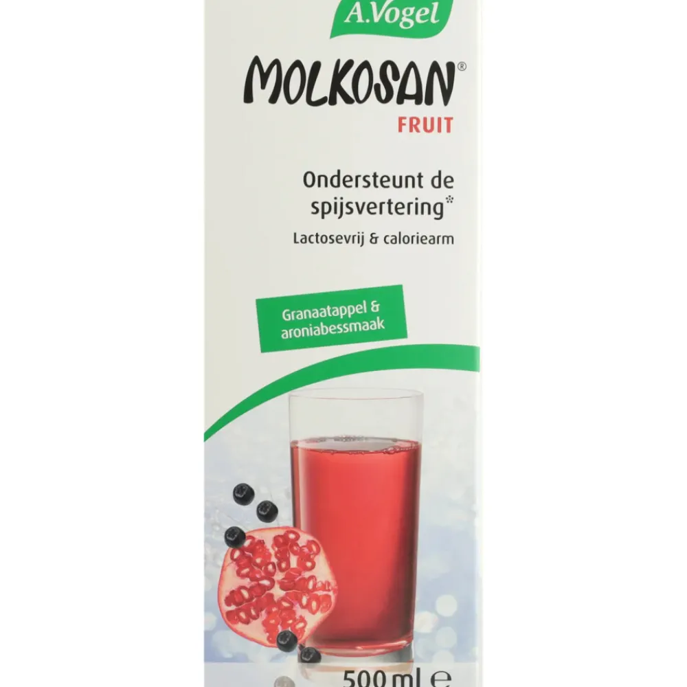 2x Molkosan Fruit 500 ml^A.Vogel Hot