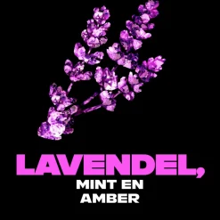 6x Deodorant Bodyspray Blue Lavender 150 ml^Axe Clearance