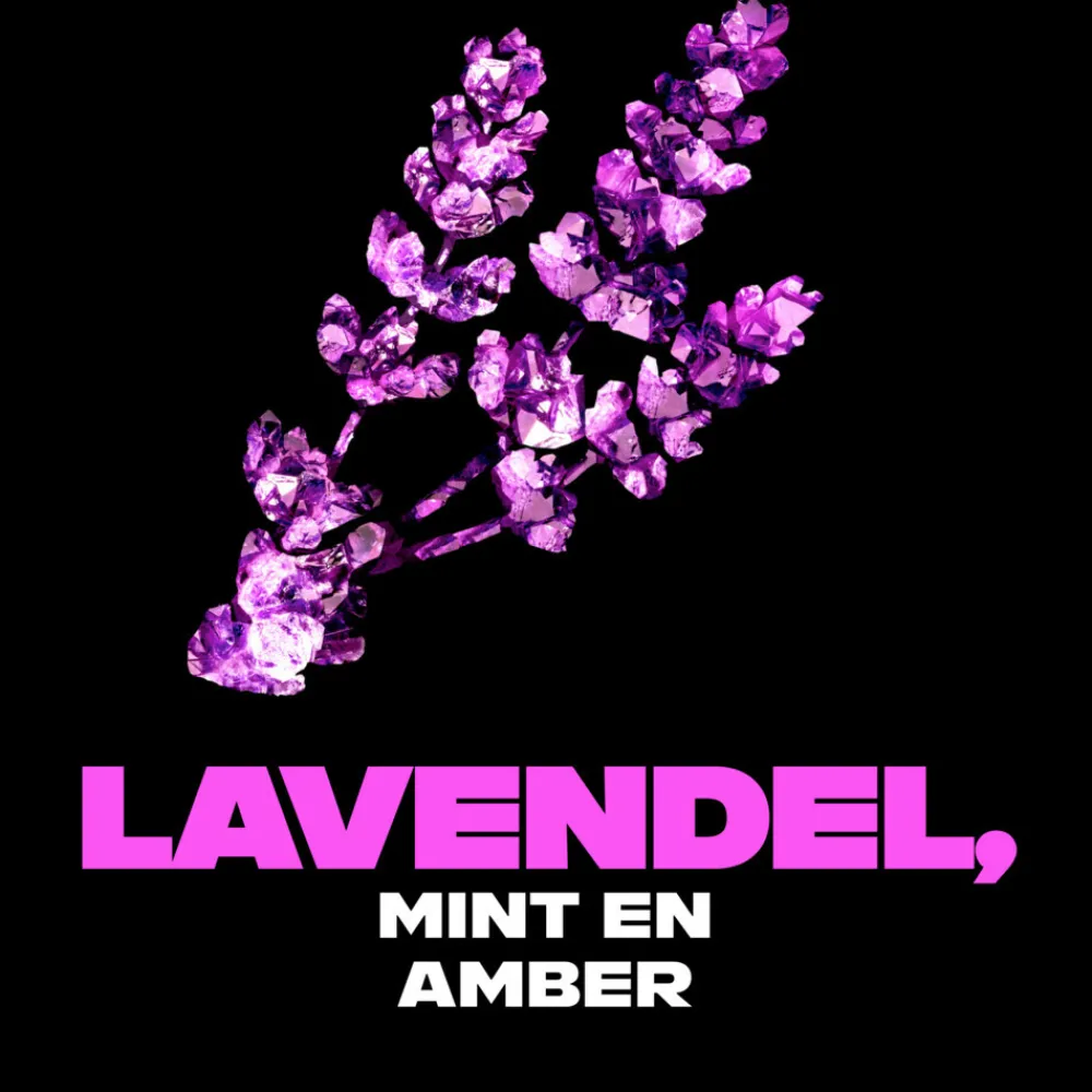 6x Deodorant Bodyspray Blue Lavender 150 ml^Axe Clearance