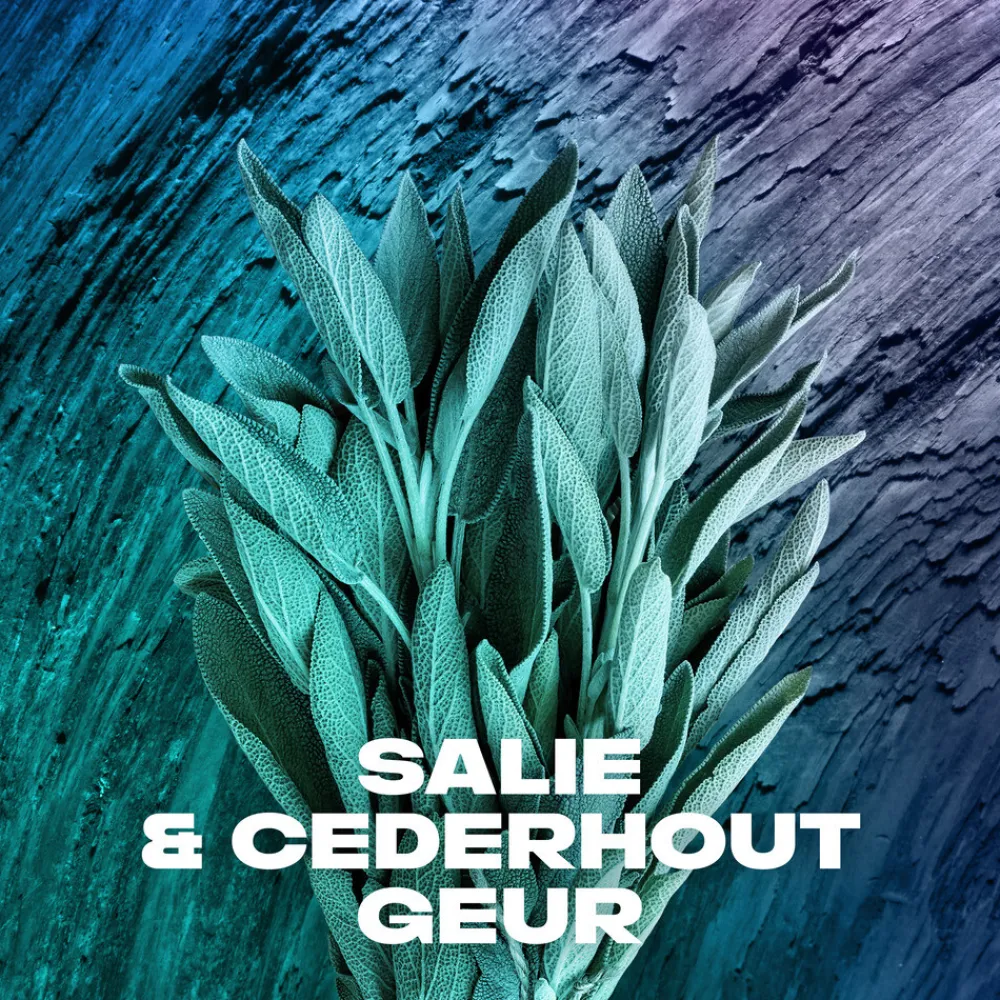 6x Deodorant Bodyspray Apollo 150 ml^Axe New