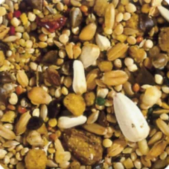 Sale 5x XtraVital Grote Parkiet 1 kg Droogvoer & Zaden