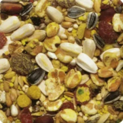 5x XtraVital Papegaai 1 kg^Beaphar