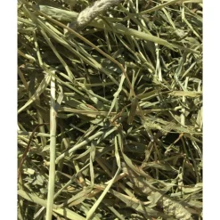 Droogvoer & Zaden<Bunny Nature 3x Timothy Hooi 700 gr