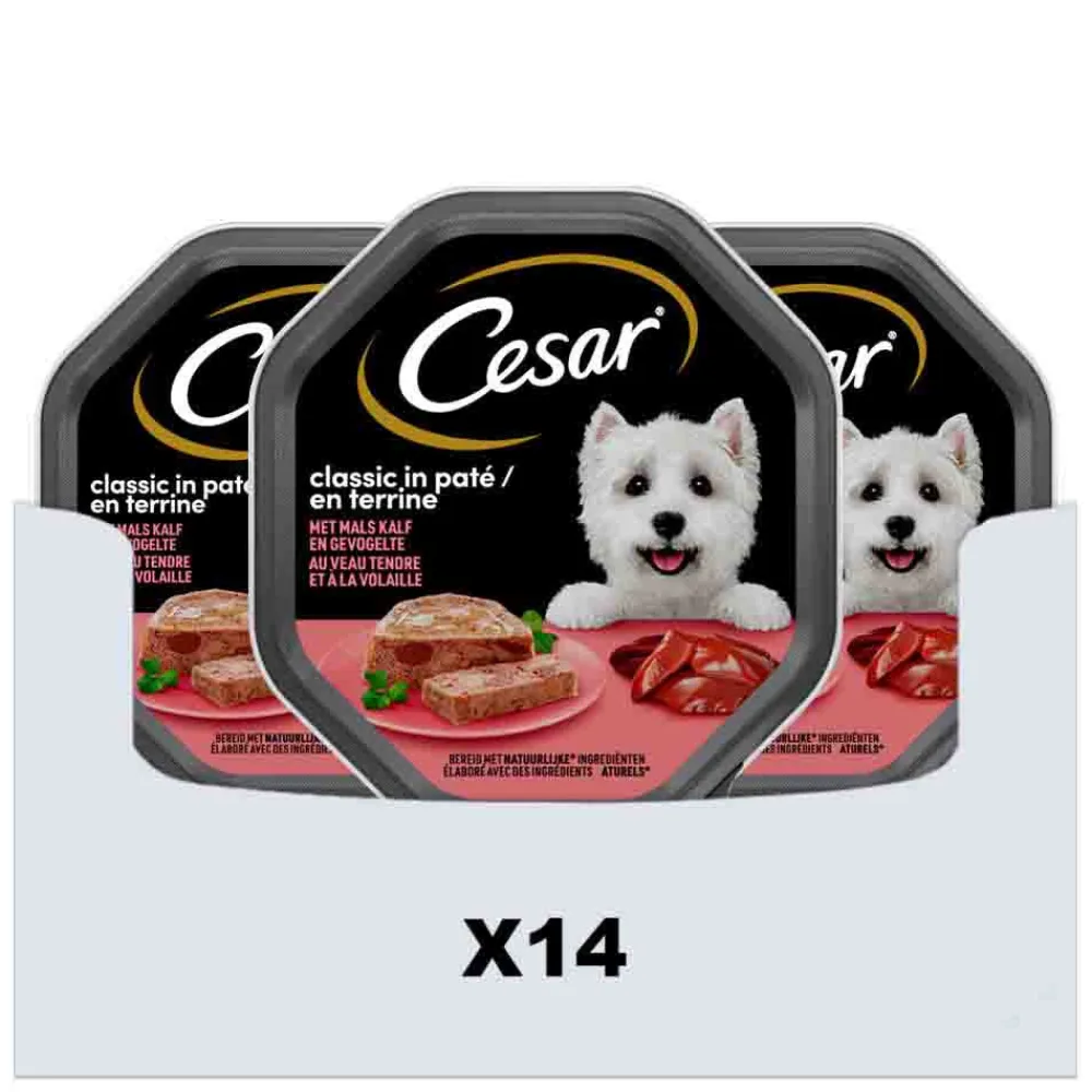 Hondenvoer<Cesar 14x Classic Paté Kalf - Gevogelte 150 gr