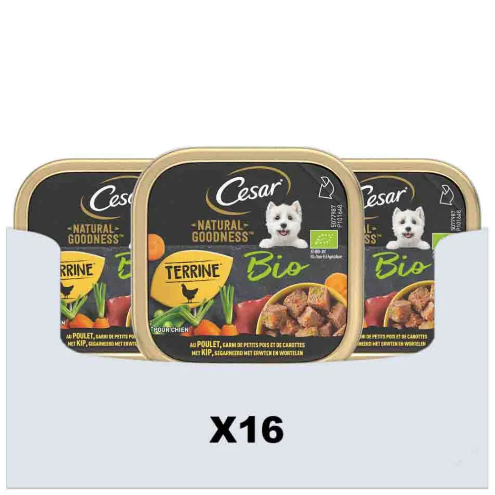 Kattenvoer<Cesar 16x Natural Goodness Alu Paté Kip Bio 100 gr