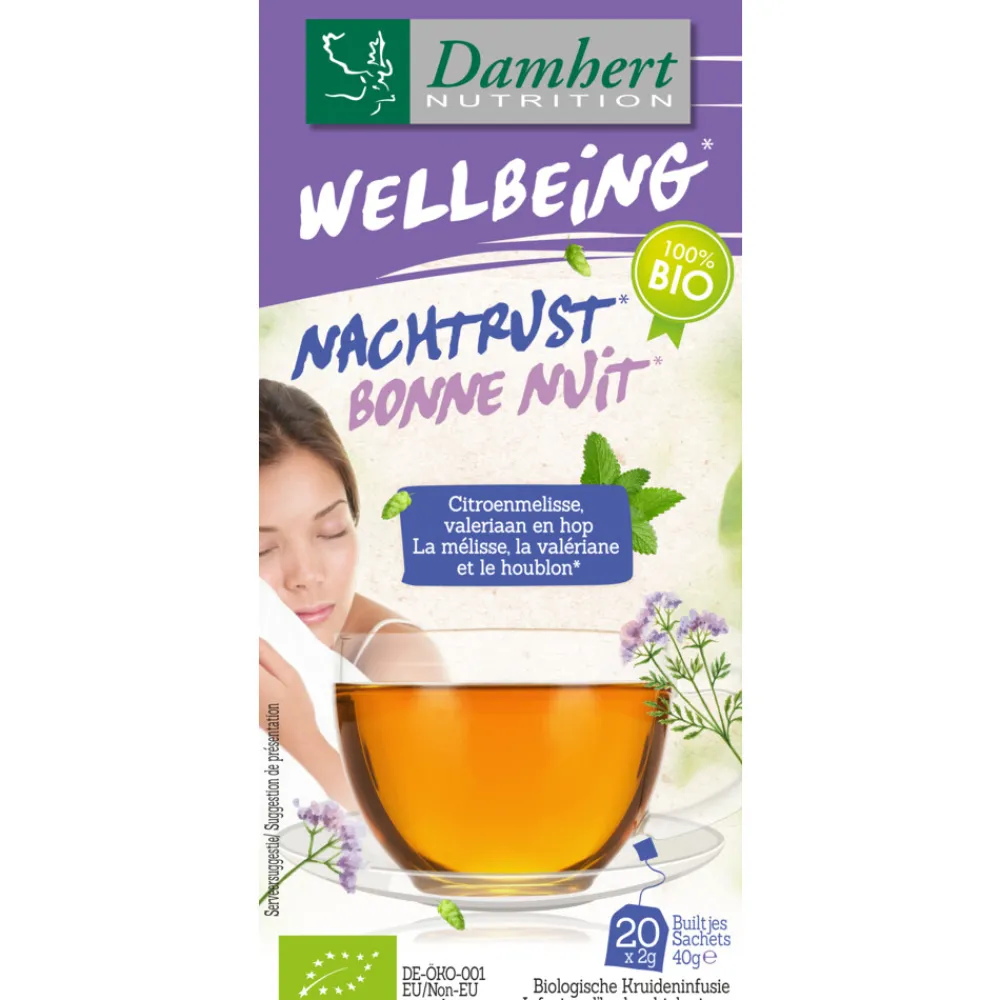 Sale 3x Wellbeing Thee Goede Nachtrust 20 stuks Thee