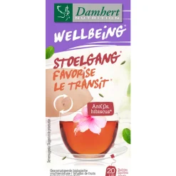 Thee<Damhert 3x Wellbeing Thee Stoelgang 20 stuks
