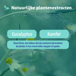 3x Inhalatiepleisters 6 sachets^Dampo Sale