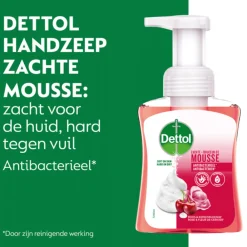 Best 6x Foam Handzeep Rozen & Kers 250 ml Keukenartikelen|Handverzorging