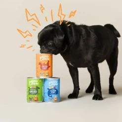 6x Blik Vers Vlees Hondenvoer Kip - Kalkoen 400 gr^Edgard & Cooper Clearance