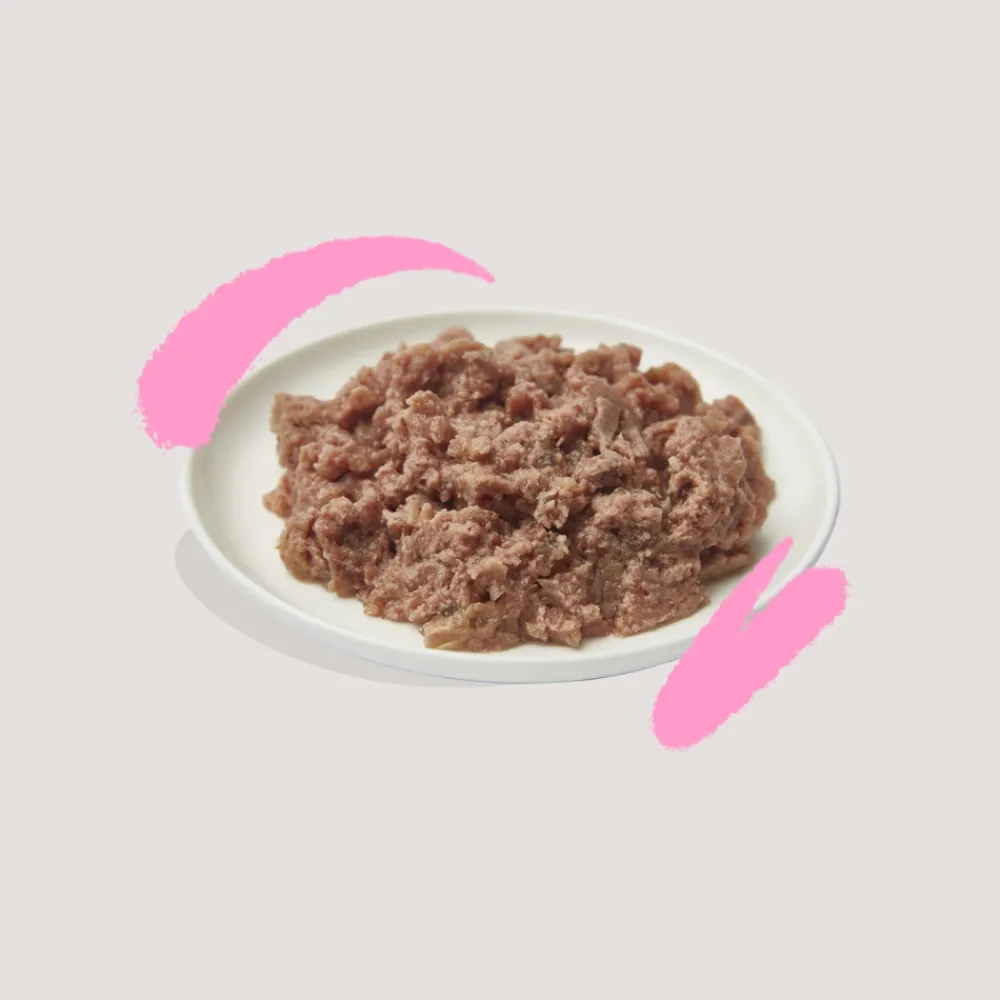 Hot 16x Kattenvoer Kitten Pate Eend - Kip 85 gr Kattenvoer