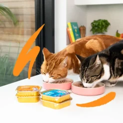 16x Kattenvoer Adult Pate Biologische Kip 85 gr^Edgard & Cooper Hot