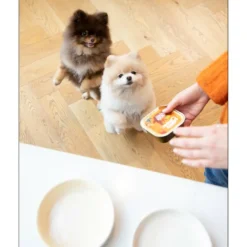 Clearance 18x Kuipje Vers Vlees Hondenvoer Kip - Kalkoen 300 gr Hondenvoer