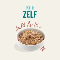 Hondenvoer<Edgard & Cooper 11x Kuipje Vers Vlees Senior Hondenvoer Kip - Zalm 150 gr