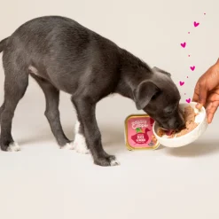 Hondenvoer<Edgard & Cooper 11x Kuipje Vers Vlees Puppy Hondenvoer Eend - Kip 150 gr