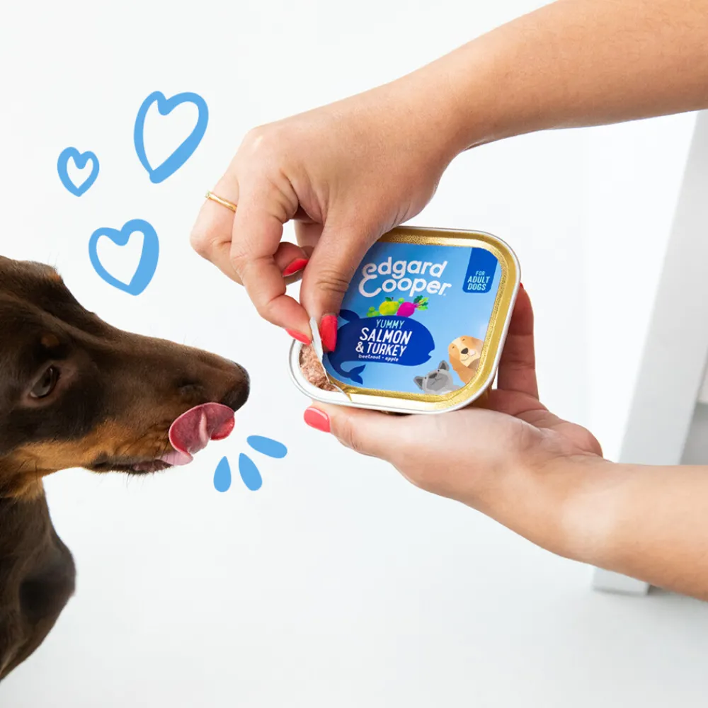 Sale 11x Kuipje Vers Vlees Hondenvoer Zalm - Kalkoen 150 gr Hondenvoer