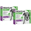 Vlo, Teek & Worm<Frontline 2x Combo Spot On Anti Vlooien en Teken Druppels Hond 20 - 40 kg 6 pipetten