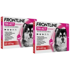 Vlo, Teek & Worm<Frontline 2x Tri-Act Anti Vlooien en Teken Druppels XL 3 pipetten