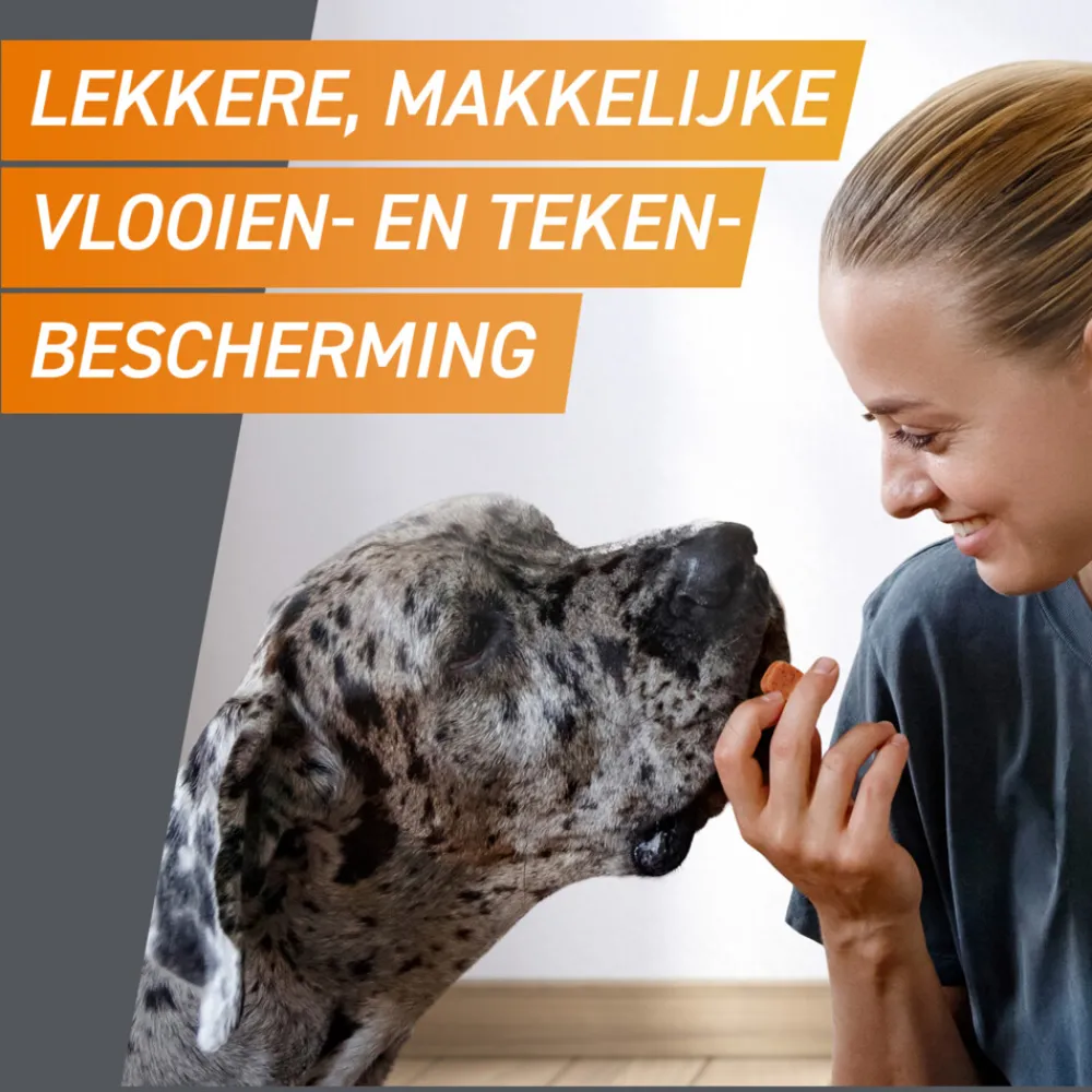 Sale 2x Hond L 10-25 kg 3 tabletten Vlo, Teek & Worm