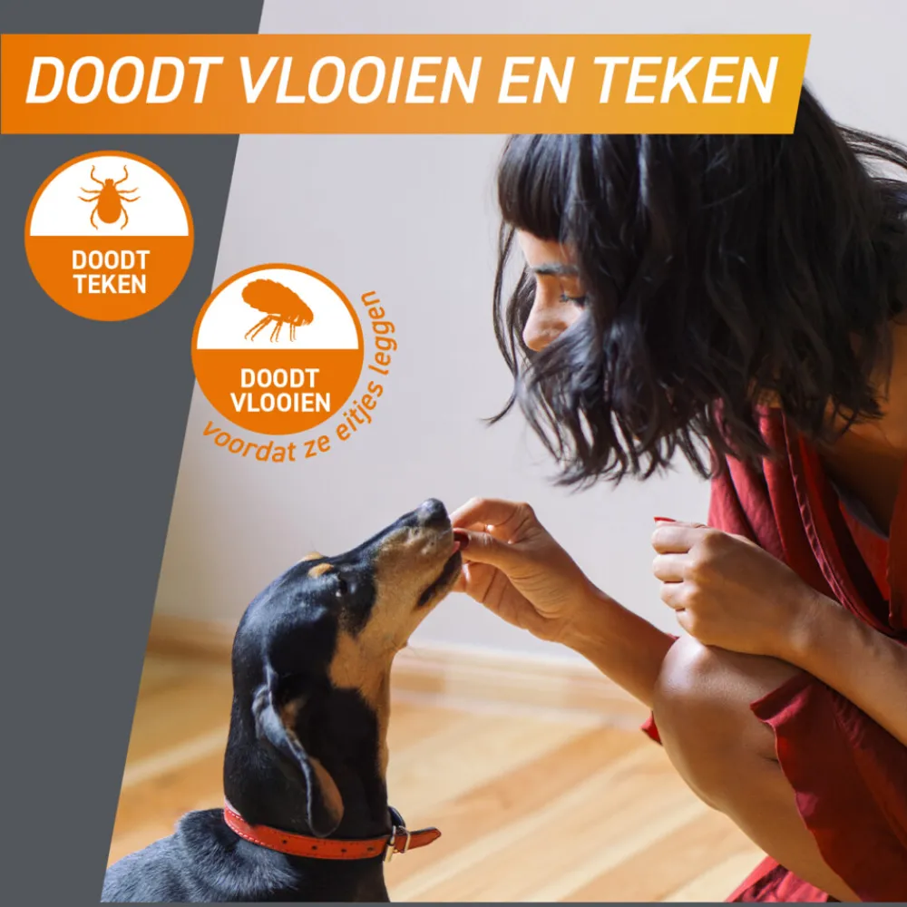 Sale 2x Hond L 10-25 kg 3 tabletten Vlo, Teek & Worm