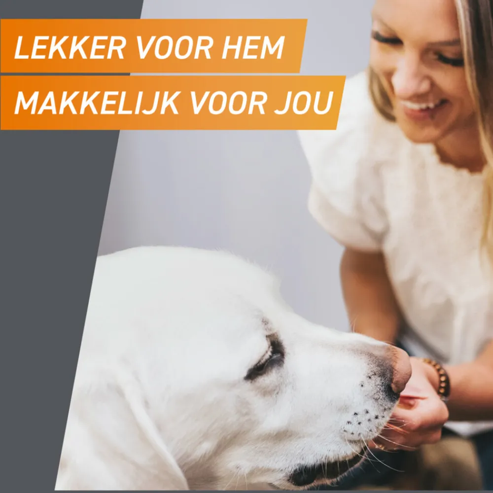 2x Hond M 4-10 kg 3 tabletten^Frontpro Outlet