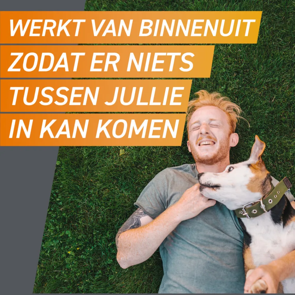 2x Hond M 4-10 kg 3 tabletten^Frontpro Outlet