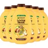 Shampoo<Garnier 6x Loving Blends Avocado Olie en Shea Boter Shampoo 300 ml