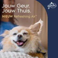 6x Luchtverfrisser Refreshing Air tegen Huisdierengeurtjes 300 ml^Glade Sale
