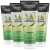 4x Detox & Repair Shampoo 250 ml^John Frieda Online