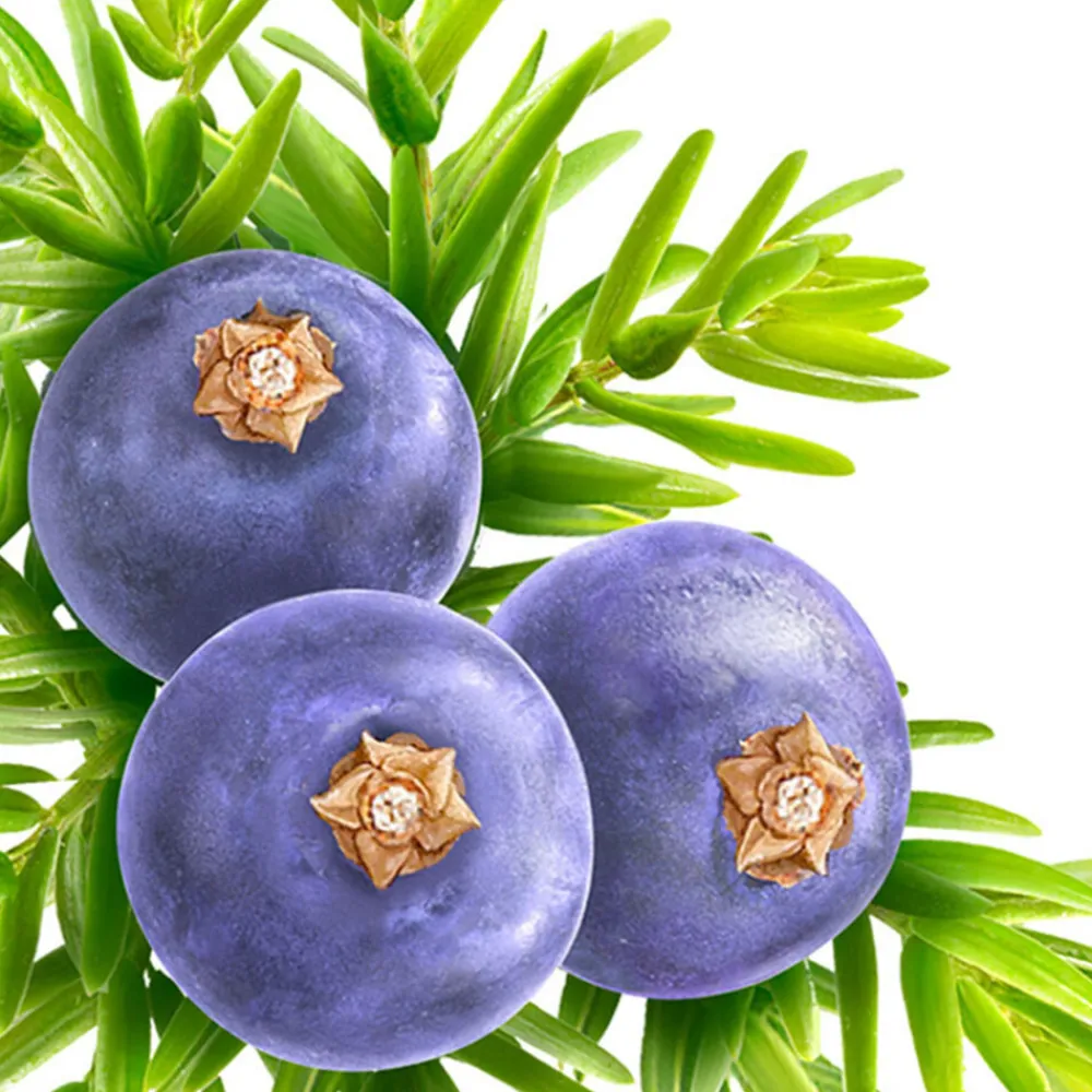 Bad & Douche|Bad & Douche<Kneipp 6x Badkristallen Muscle Soothing Jeneverbes 600 gr