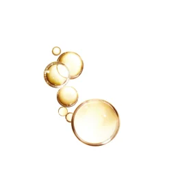 6x L'Oréal Elvive Extraordinary Oil Haarolie voor Gekleurd Haar 100 ml^LOréal Outlet