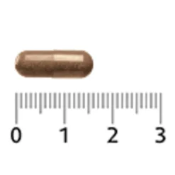 Clearance 2x Astaxanthine 4 mg 30 capsules Speciale Bestanddelen|Vitaminen