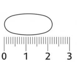 Outlet 2x Multi + Compleet Vrouw 120 tabletten Mineralen