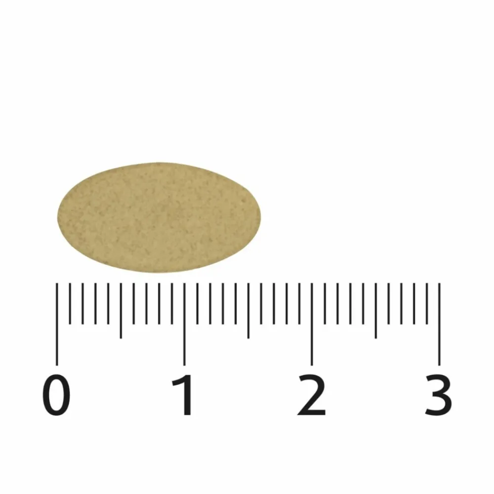 2x Sterk IJzer Complex 60 tabletten^Lucovitaal Online