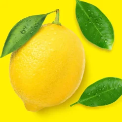 Outlet 10x Allesreiniger Spray Citroen 800 ml Allesreiniger