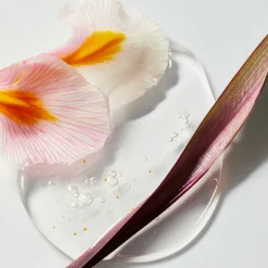 Best 6x Douchegel Waterlily & Oil 250 ml Bad & Douche